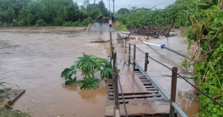 Bushy Park bridge a ‘priority’, says NWA