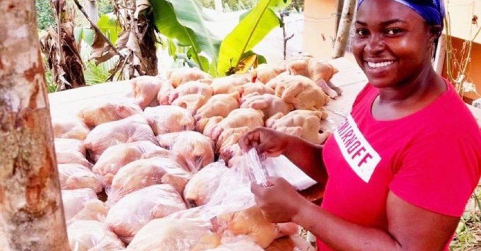 Denise Williams Bailey, Head of Denden’s Farm and Supplies in Clarendon, prepares chicken for delivery.